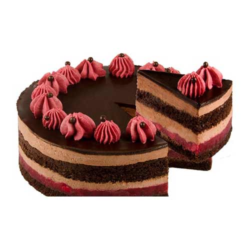 Dark Chocolate Berry Cake